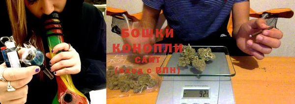 шишки Новозыбков