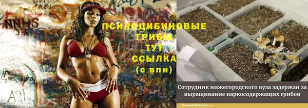дживик Абинск