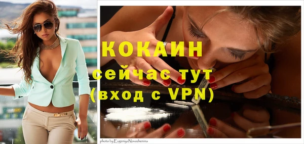 спиды Новокубанск